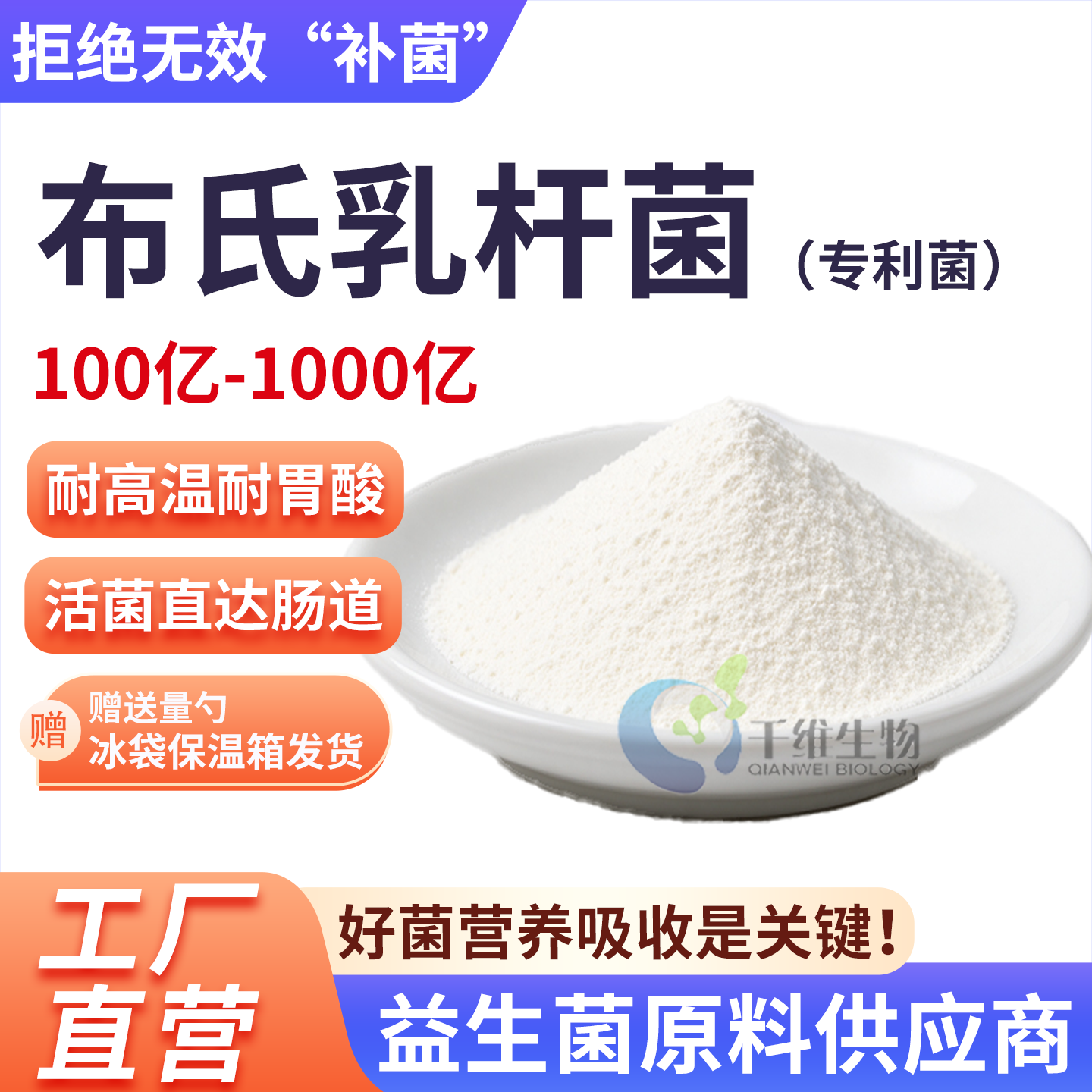 布氏乳杆菌100亿 高活性益生菌冻干发酵乳酸菌食品级原料厂家正品