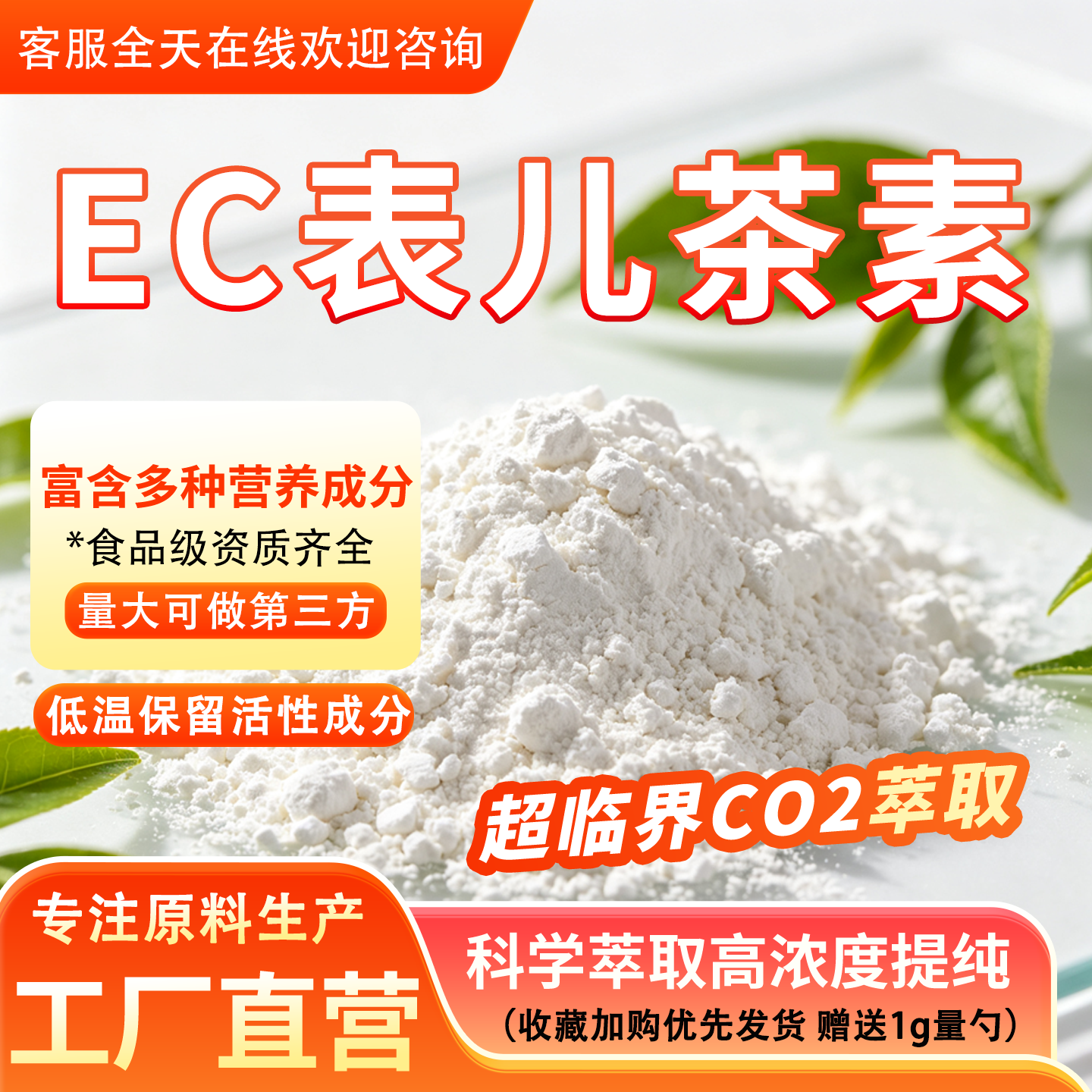 EC表儿茶素98% 绿茶提取物表没食子儿茶素 食品级原料粉厂家正品