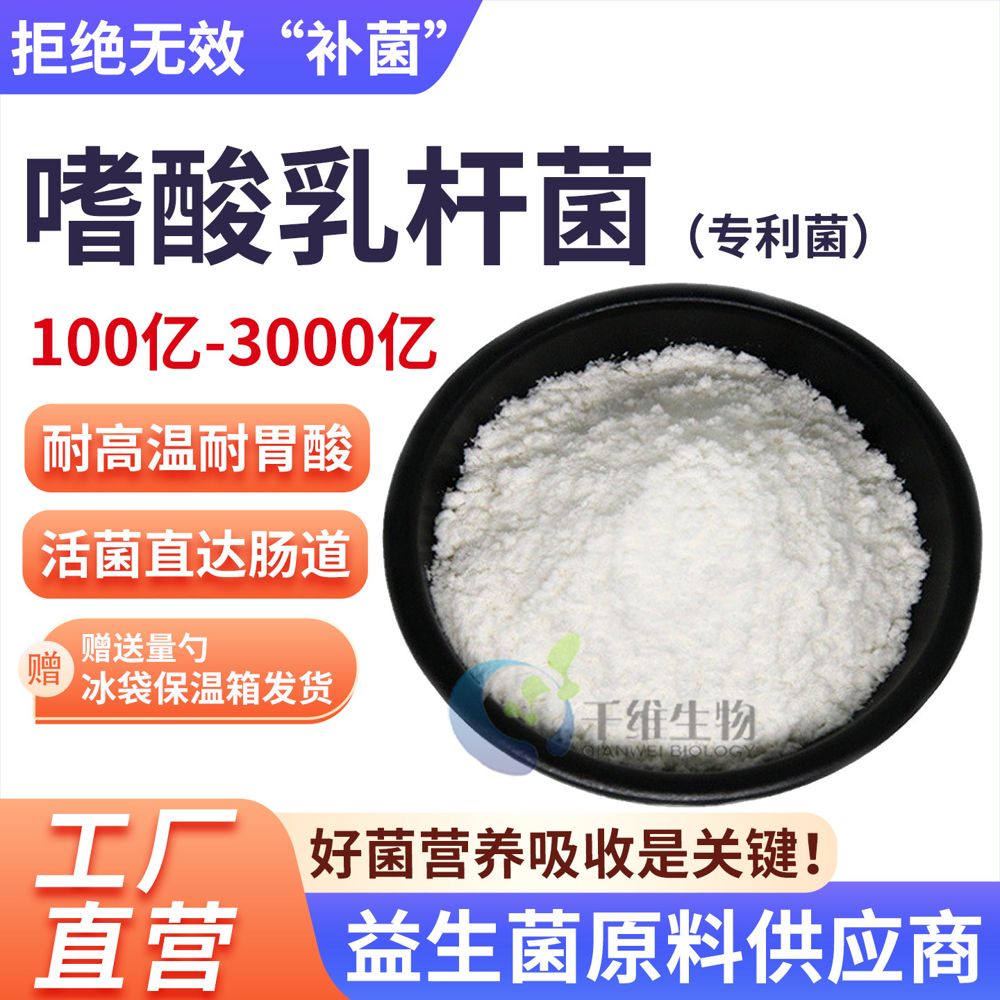 嗜酸乳杆菌3000亿 高活性益生菌食品级冻干型乳酸菌 厂家正品现货