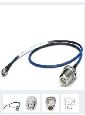 RAD-PIG-EF316-N-RSMA - 2701402