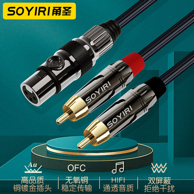 SOYIRI 卡农母转双莲花一分二音频线 xlr卡农母转双rca效果器调音