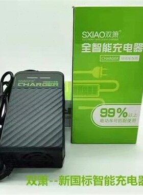 双箫电动车智能自动断电q节能时尚高端48V60V72V全车通用充电器