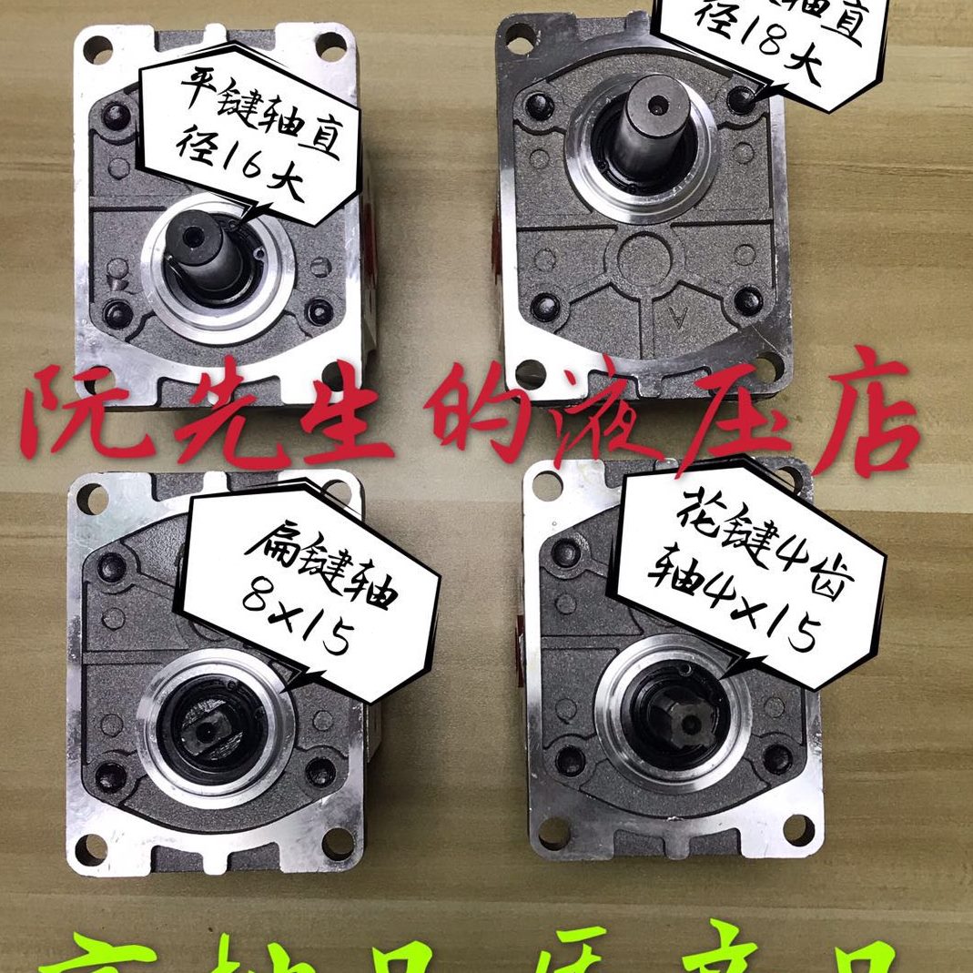 N-FNSB-3CN132CL30CLP-FLRUI齿轮泵P SAI8-8CB