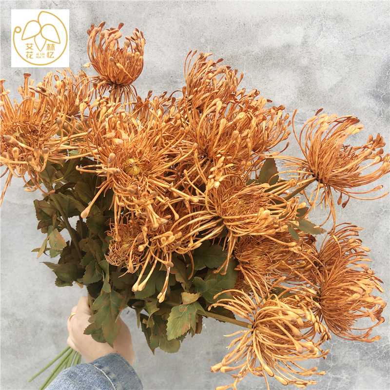 仿真3头针垫花 南非帝王花帝皇仿真蟹爪菊婚庆装饰花艺山野风植