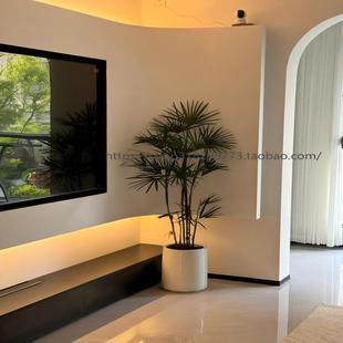 金山棕竹盆栽大型室内客厅好养绿植除甲醛办公室植物多裂棕竹盆景