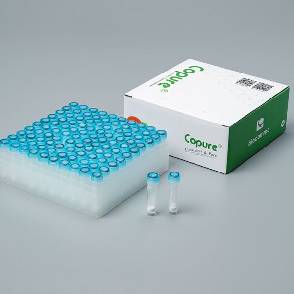 QuEChERS净化管300mg MgSO4，100mg C18，15mL离心管