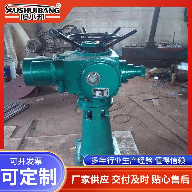 电动头QDA闸门手电摇螺杆启闭机河道水库单双吊点电装启闭机