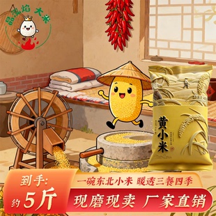 【晶泓焰】黄小米约5斤装源头厂家直发产地直发2025年新米约2.5kg