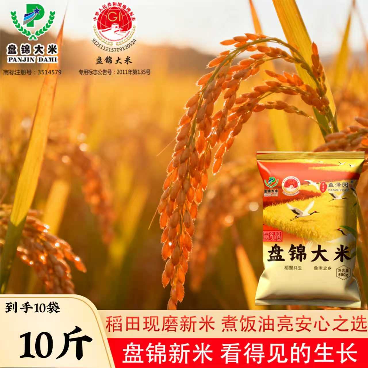 【盘泽圆】2025年新米上市盘锦大米1斤装粒粒分明稻田新米现磨