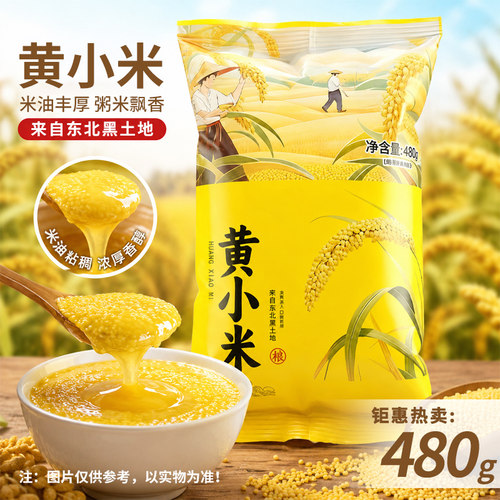 2025年新小米480g黄小米约10斤装粗粮5袋粥米约2.5kg早餐米10袋