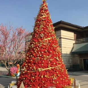饰品大型圣诞树5m68米10米户外框架树套餐发光场景布置 圣诞装