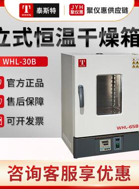 天津WHL-30B/45B/WHLL-65BE/125BE立式电热恒温干燥箱