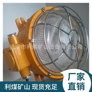 DGC22/127L(A)矿用隔爆型LED照明灯巷道灯18W防爆灯