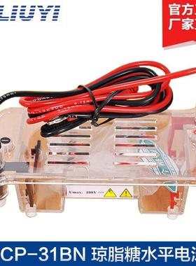 DYCP-31BN琼脂糖水平电泳仪电泳槽