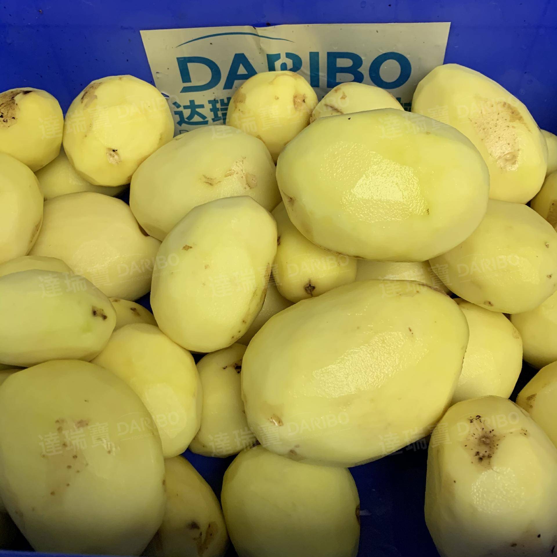 W学校食堂使用大型新款土豆马铃薯削皮机 1分钟10公斤土豆削皮机