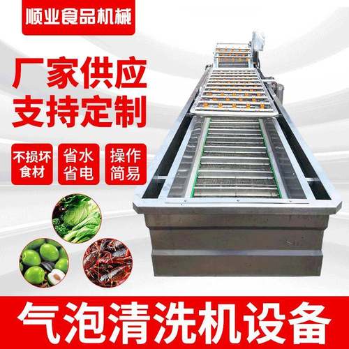 供应鲜草莓清洗机 高压喷淋清洗机 圣女果气泡清洗机流水线