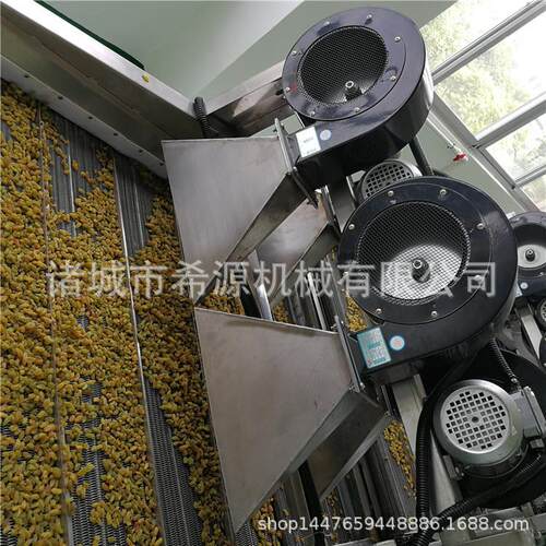 优惠葡萄干草莓气泡清洗线 全自动冒泡洗蔬菜机器