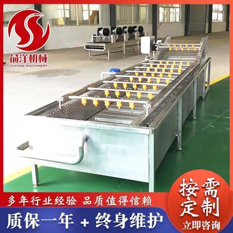 全自动大姜气泡清洗机不锈钢苹果喷淋清洗机果蔬清洗设备