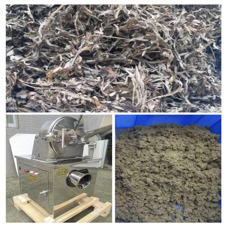 Wormwoodgrinder,wormwoodleafgrinder