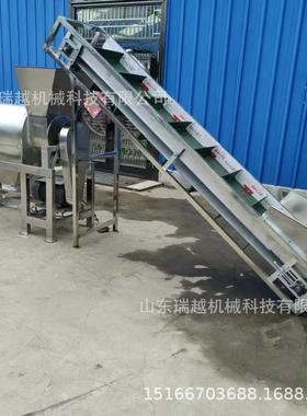 水果去核打浆机商用枇杷去核打浆机辣椒打浆机牛油果去核打浆
