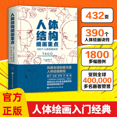人体结构绘画重点崔元喜T