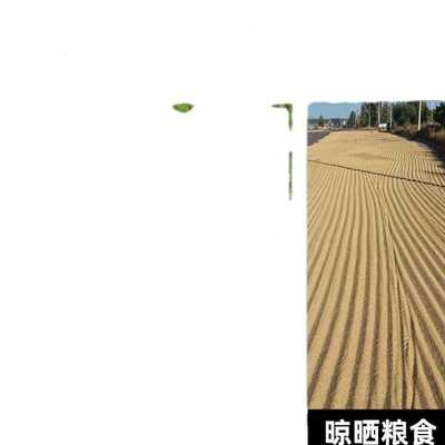 搂草耙子不锈钢扒子农用扫树叶耙齿钉耙伸缩扒子耙草园艺工具