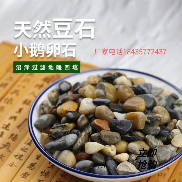 福建天然鹅卵石沼泽过滤石头地暖找平回填专用豆石水洗滤料水处理