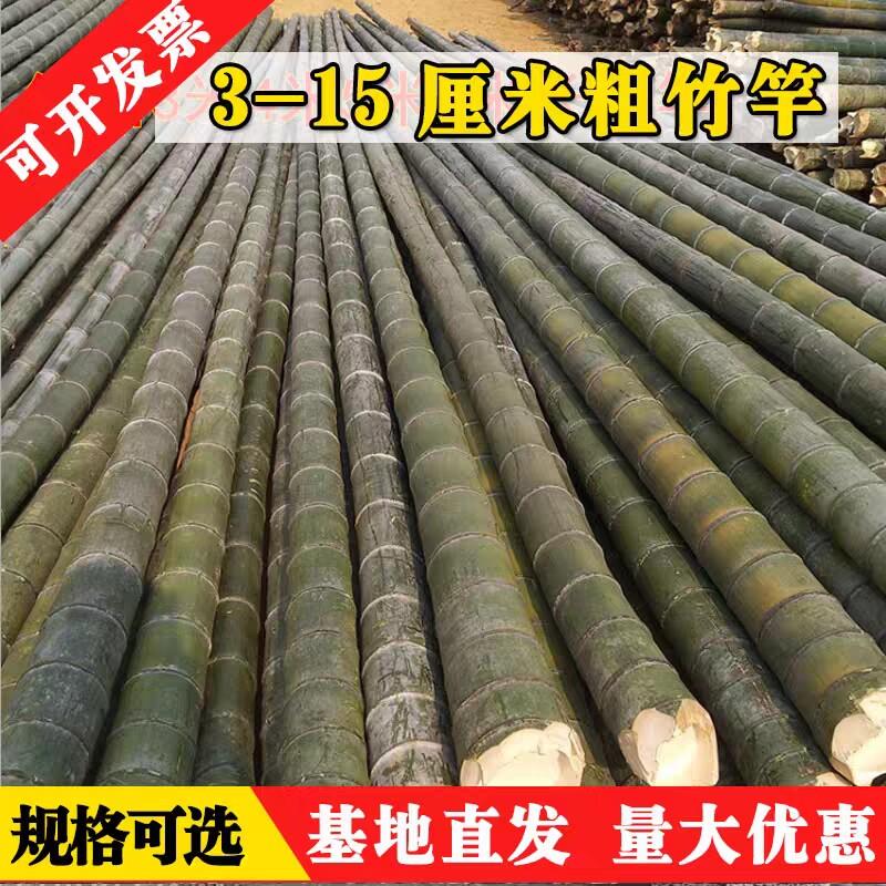 竹竿菜园搭架粗竹竿彩旗棋杆跳舞竹竿大毛竹工地用搭架刀旗棋杆子