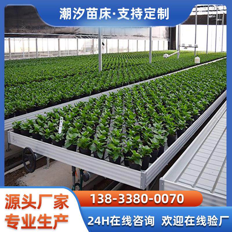 农用潮汐苗床床温室大棚育苗架子网盘花卉移动育苗床潮汐盘