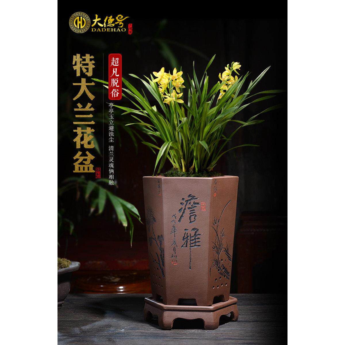 陶瓷紫砂兰花盆室内清雅高档花盆直口六方兰花盆兰花专用盆景花盆