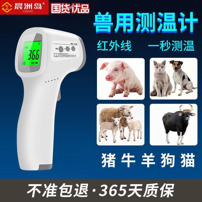 高精度兽用电子温度计红外线测温仪猪用牛羊马狗宠物动物体温表
