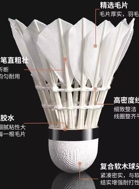 羽毛球小钢炮耐打鹅毛抗风羽毛球白色训练专用稳定室外学习训练球