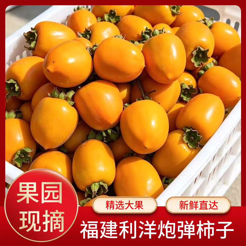 福建古田利洋炮弹柿子冰糖心甜脆硬柿子当应季新鲜水果现摘礼盒装