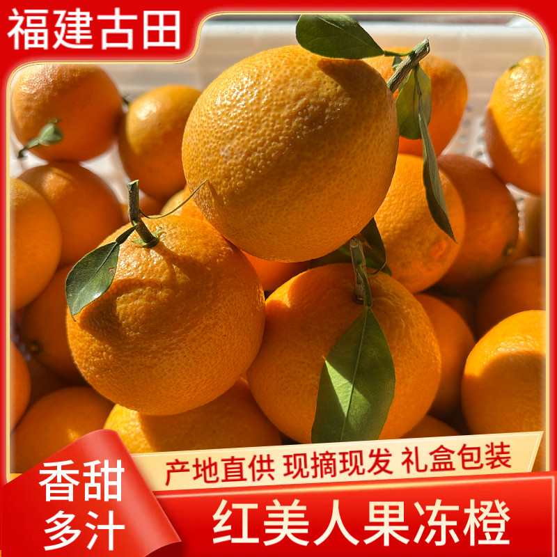 古田爱媛28红美人果冻橙当季孕妇新鲜水果时令柑橘现摘精品礼盒装
