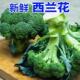 露天生长现摘西兰花蔬菜新鲜现拔脆花绿菜花农家种植食材时令菜