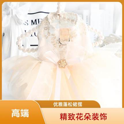 狗狗衣服四季款猫咪公主婚纱裙礼服蕾丝刺绣小型犬泰迪宠物可牵引