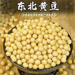 黑龙江非转基因黄豆新海伦大豆生发豆芽黄豆打豆浆专用豆子批发