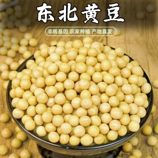黑龙江非转基因黄豆新海伦大豆生发豆芽黄豆打豆浆专用豆子批发