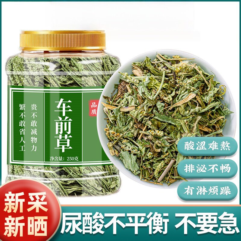 车前草野生中药材车钱草茶包袋泡茶新鲜正品中草药泡水新货