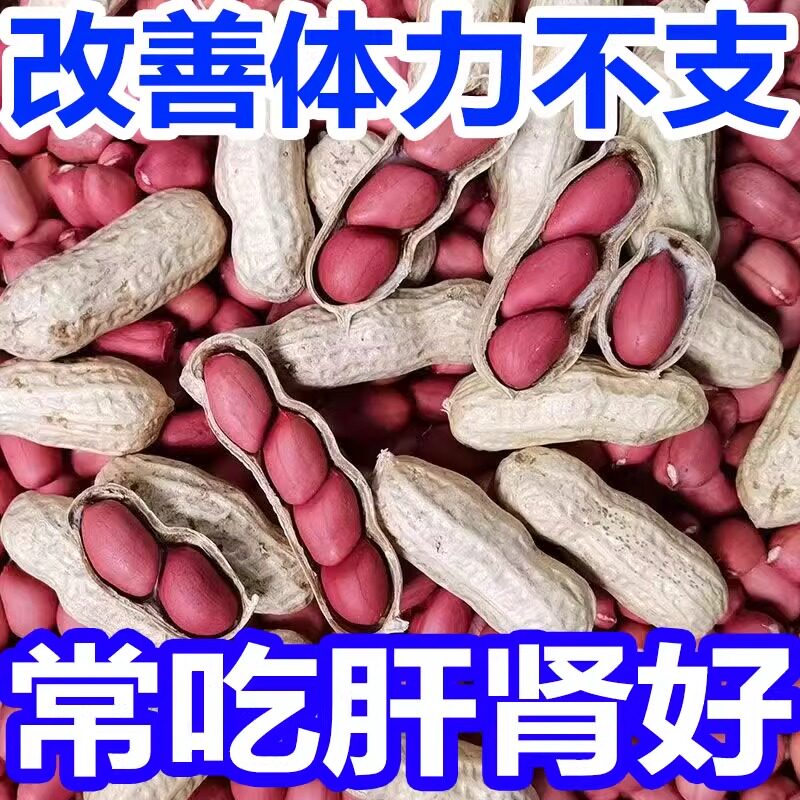 农科院红皮花生米生晒带壳花生
