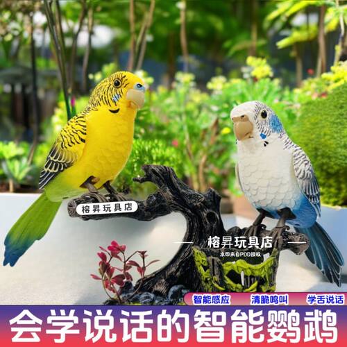 声控鸟仿真智能新款小鹦鹉