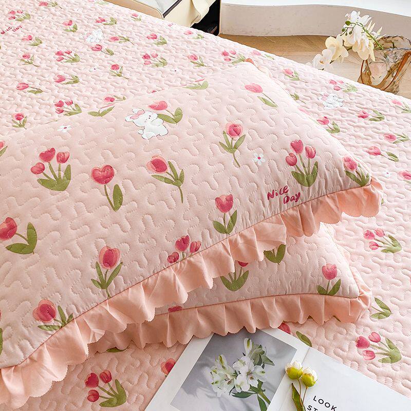 韩版花边夹棉枕套四季通用枕头套宿舍一只家用一对装单人加厚枕套