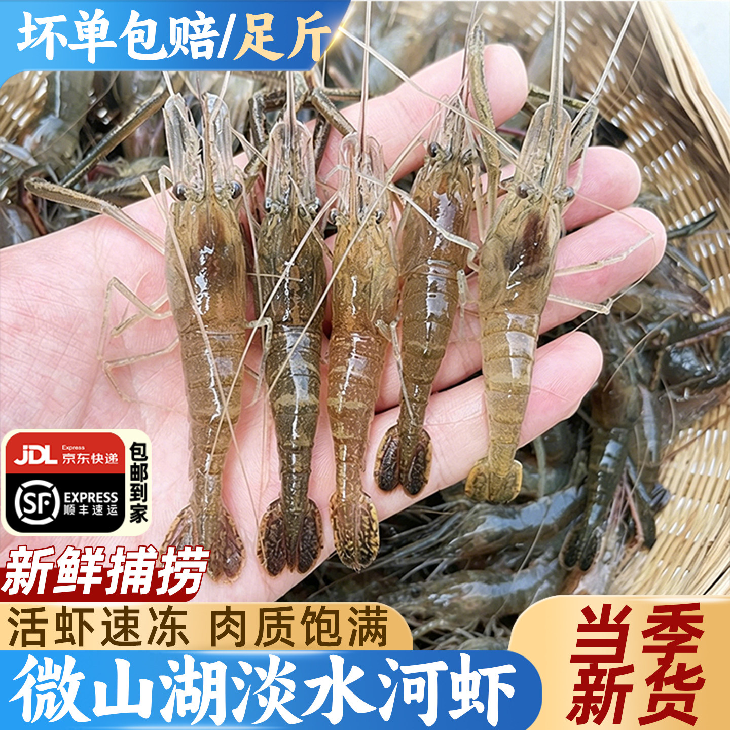微山湖小河虾新鲜活虾捕捞速冻淡水清水河虾大号青虾土虾草虾水产 - 实物图