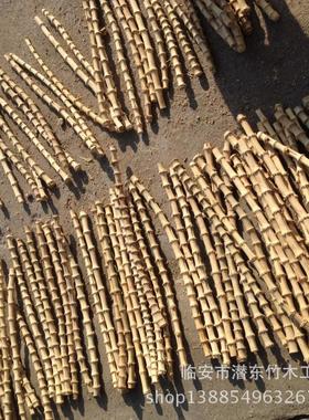 优质竹根金竹鞭老式烟斗柄原料DIY耗材竹条竹节工艺制品一件起批