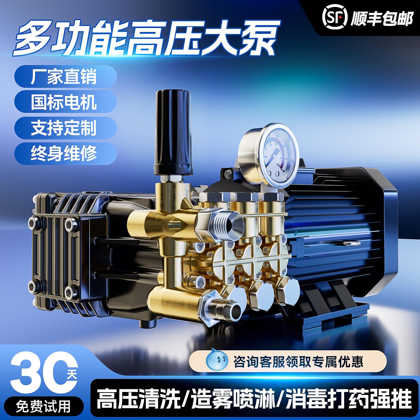 高压洗车机清洗机国标电机加泵头商用220V大流量喷淋造雾柱塞泵