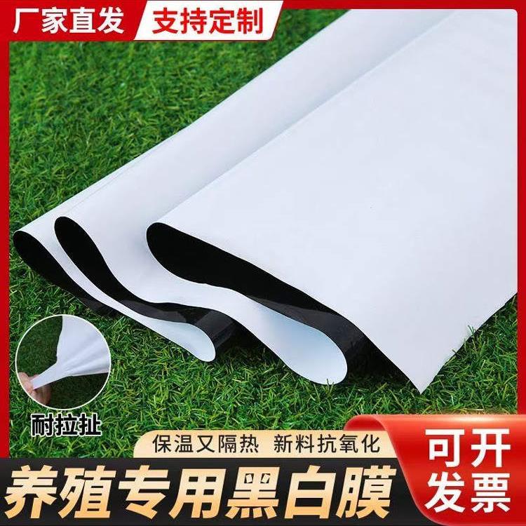 进口黑白膜养殖加厚大棚膜鱼塘防渗膜防晒隔热塑料布食用菌绿白膜