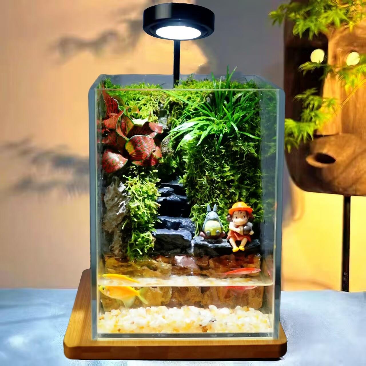 养鱼小生态鱼缸苔藓微景观生态缸造景植物玻璃瓶桌面森林全套雨林