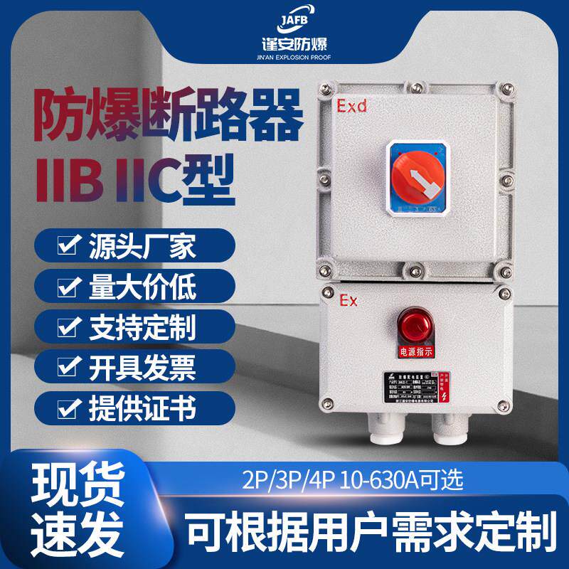 防爆断路器10A16A20A32a40A63A100A防爆配电箱380V2p3P4P漏电开