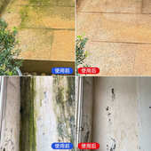 青苔清除剂水泥地面专用清洗墙面房屋苔藓藻类去除绿青苔清洁神器