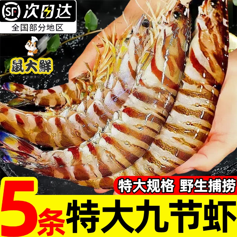 超大野生斑节虾竹节虾24-28CM/只